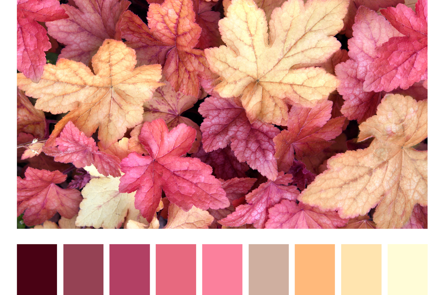 Palette autunnali